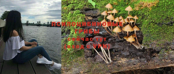 дурь Абаза